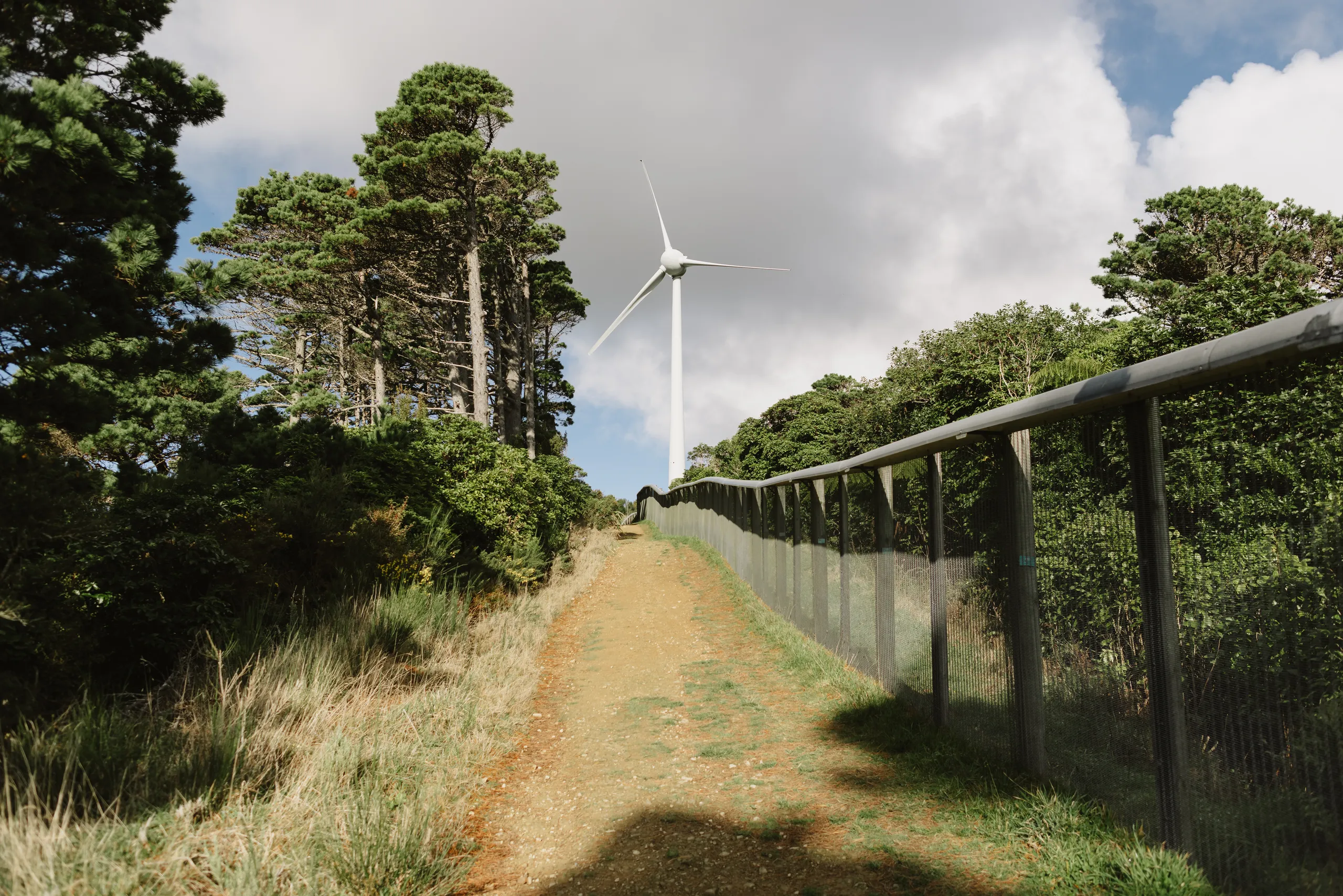 ウェリントン風力発電機