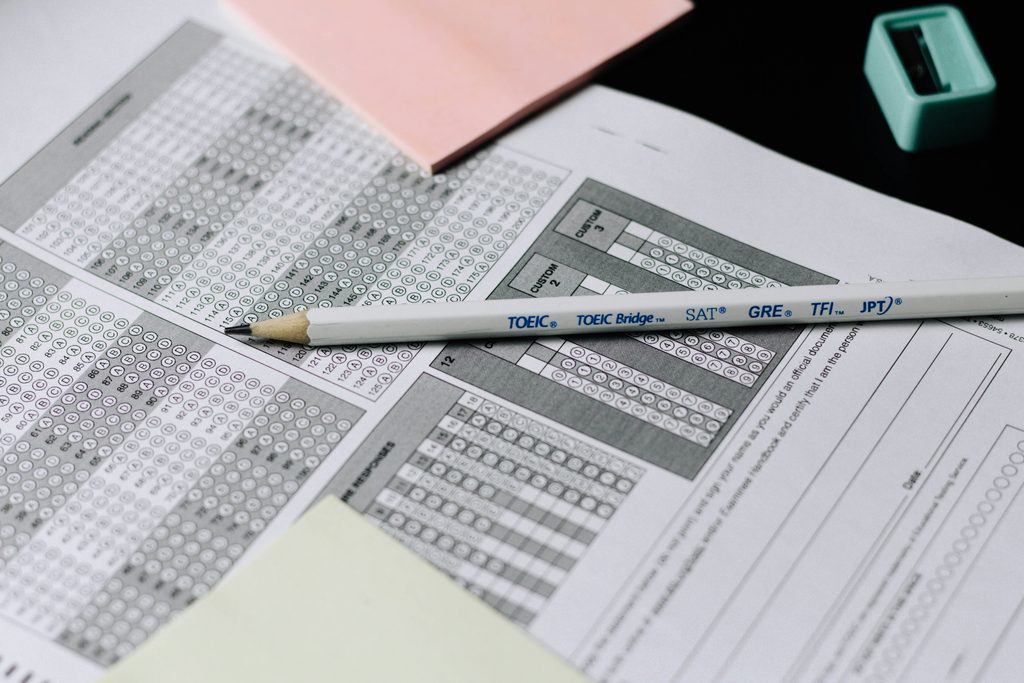 New Zealand Studying